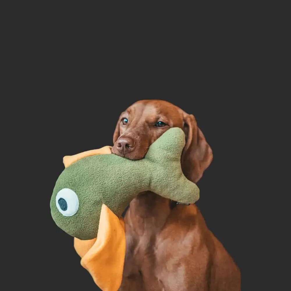 treusinn. Kuscheltier FRITZY