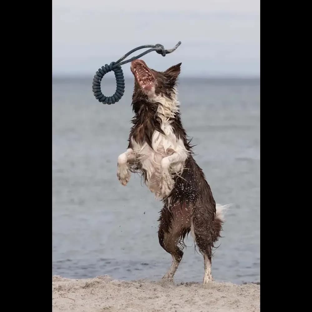 treusinn. Tau-Spielzeug LOOPY Petrol